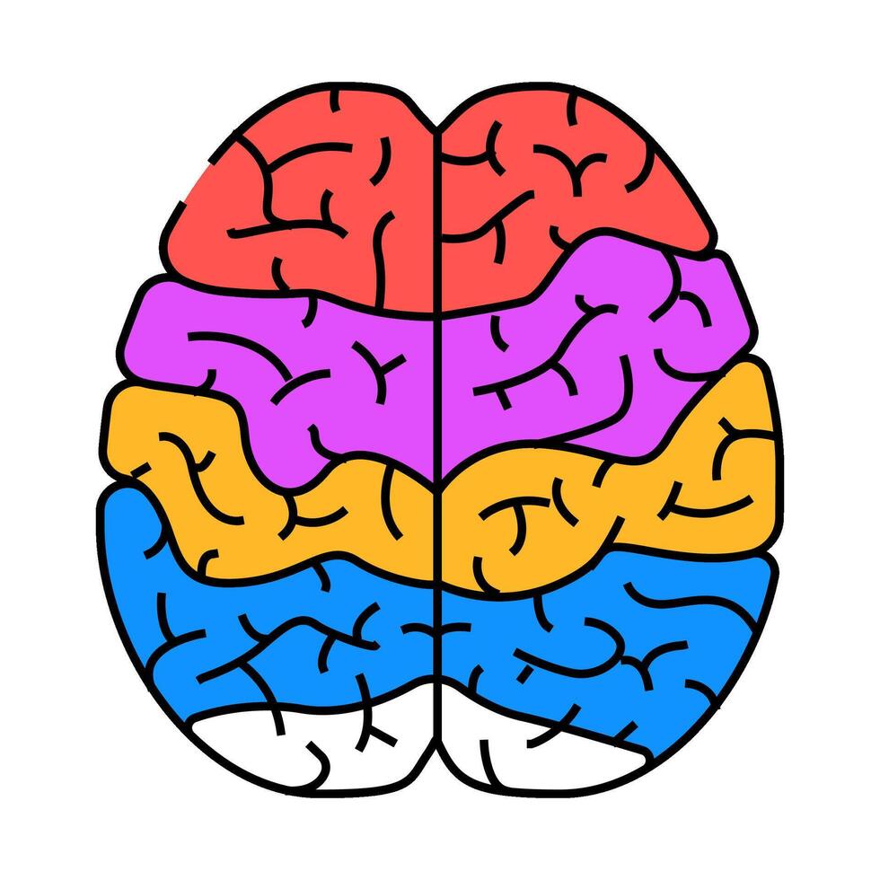 brain mapping neuroscience neurology icon color illustration vector