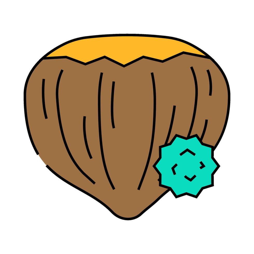 tree nuts allergen free product food icon color illustration vector
