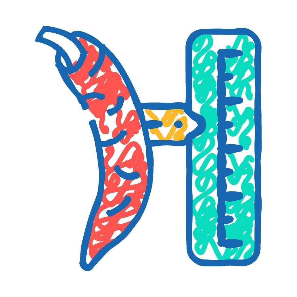cayenne pepper spice scale icon doodle illustration vector