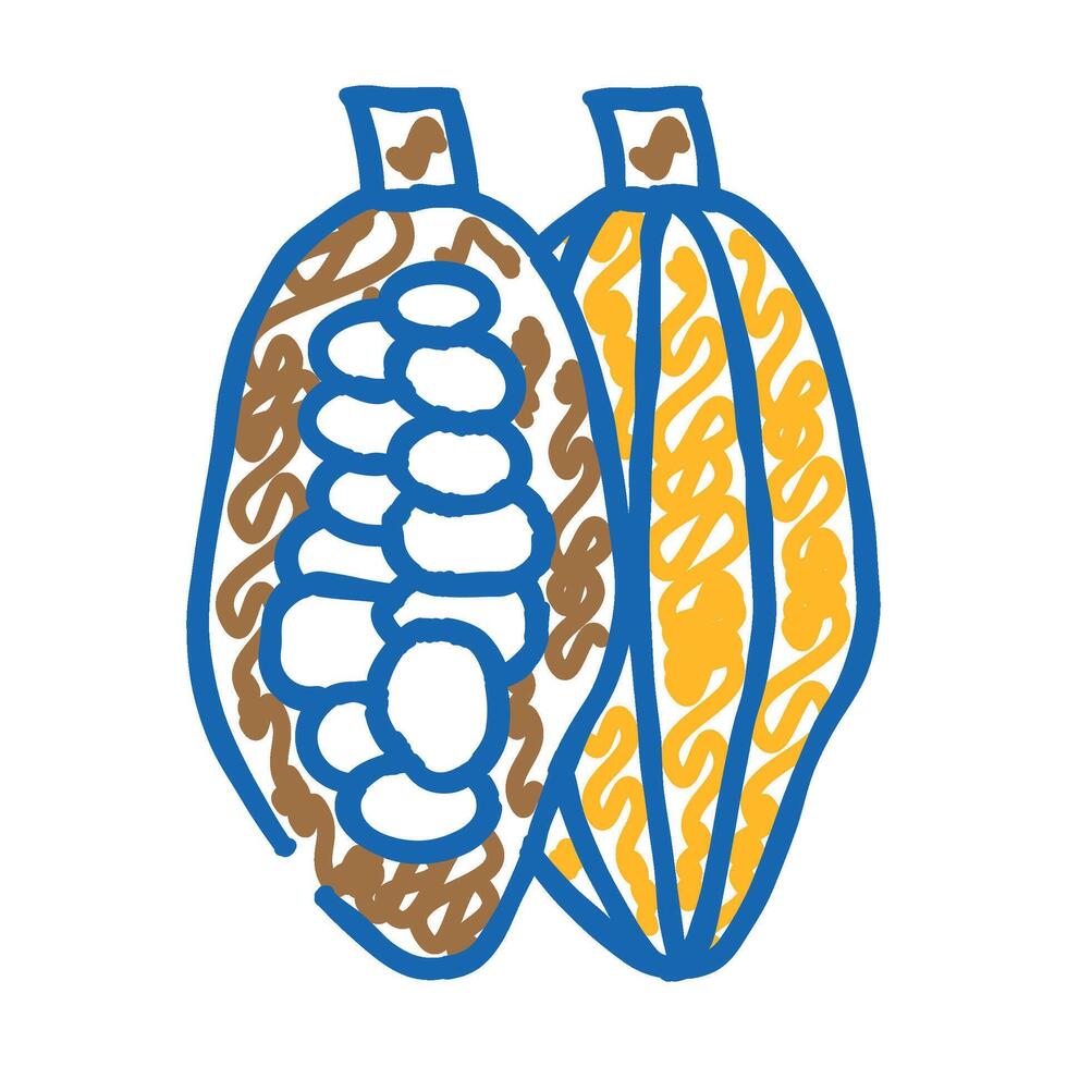 cocoa beans icon doodle illustration vector