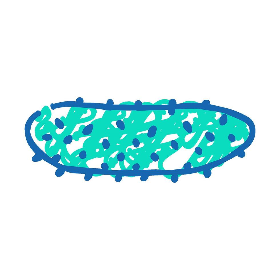 gherkin gherkin icon doodle illustration vector