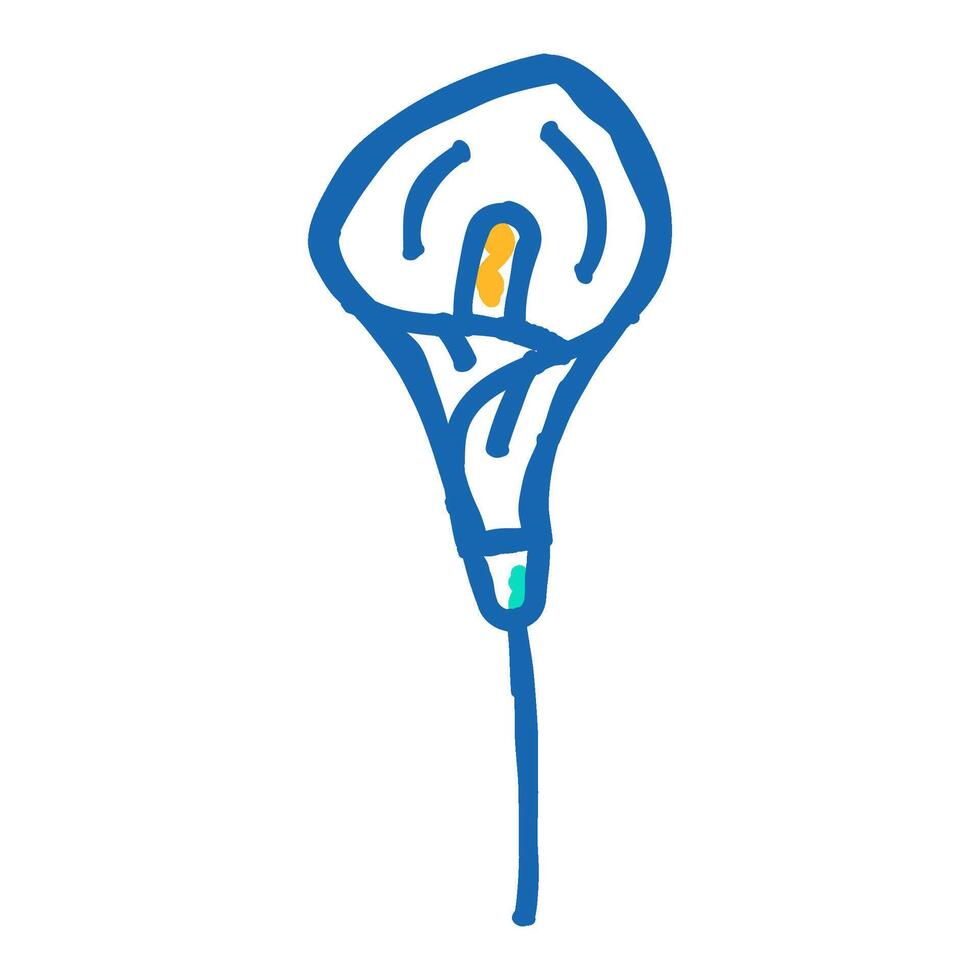 calla lily blossom spring icon doodle illustration vector