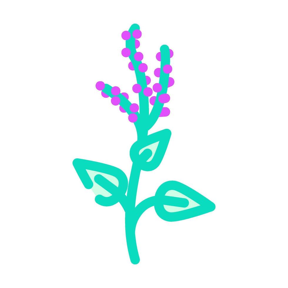 holy basil ayurvedic herb color icon illustration vector