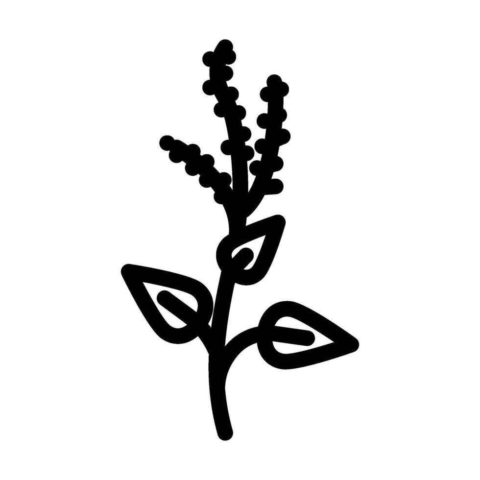 holy basil ayurvedic herb line icon illustration vector