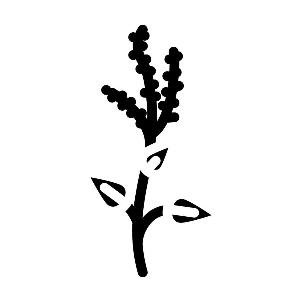 holy basil ayurvedic herb glyph icon illustration vector