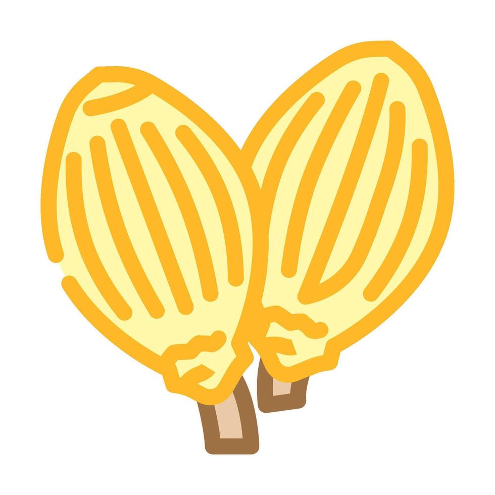 coriander seeds ayurvedic herb color icon illustration vector