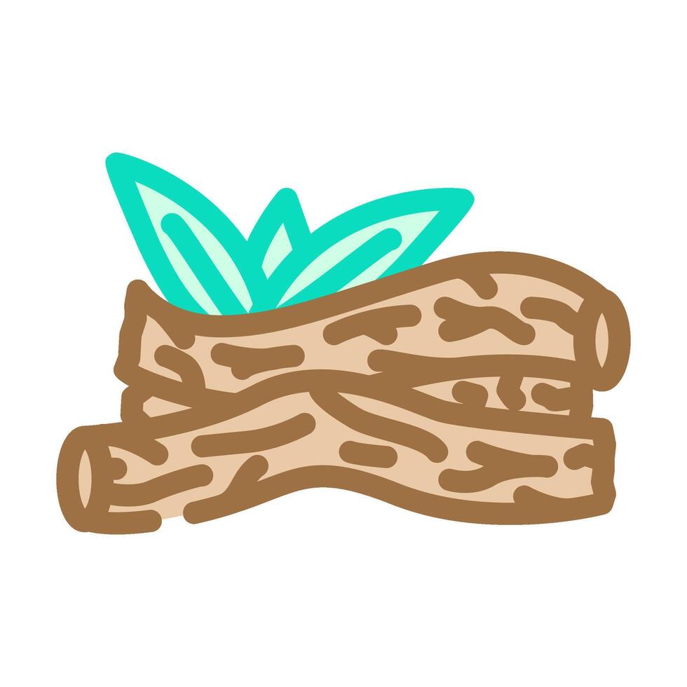 licorice root ayurvedic herb color icon illustration vector