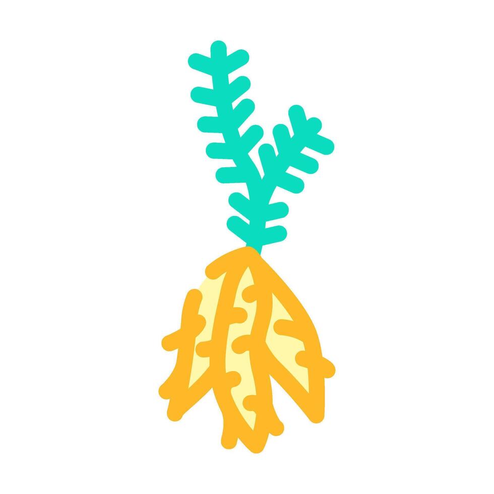 shatavari ayurvedic herb color icon illustration vector