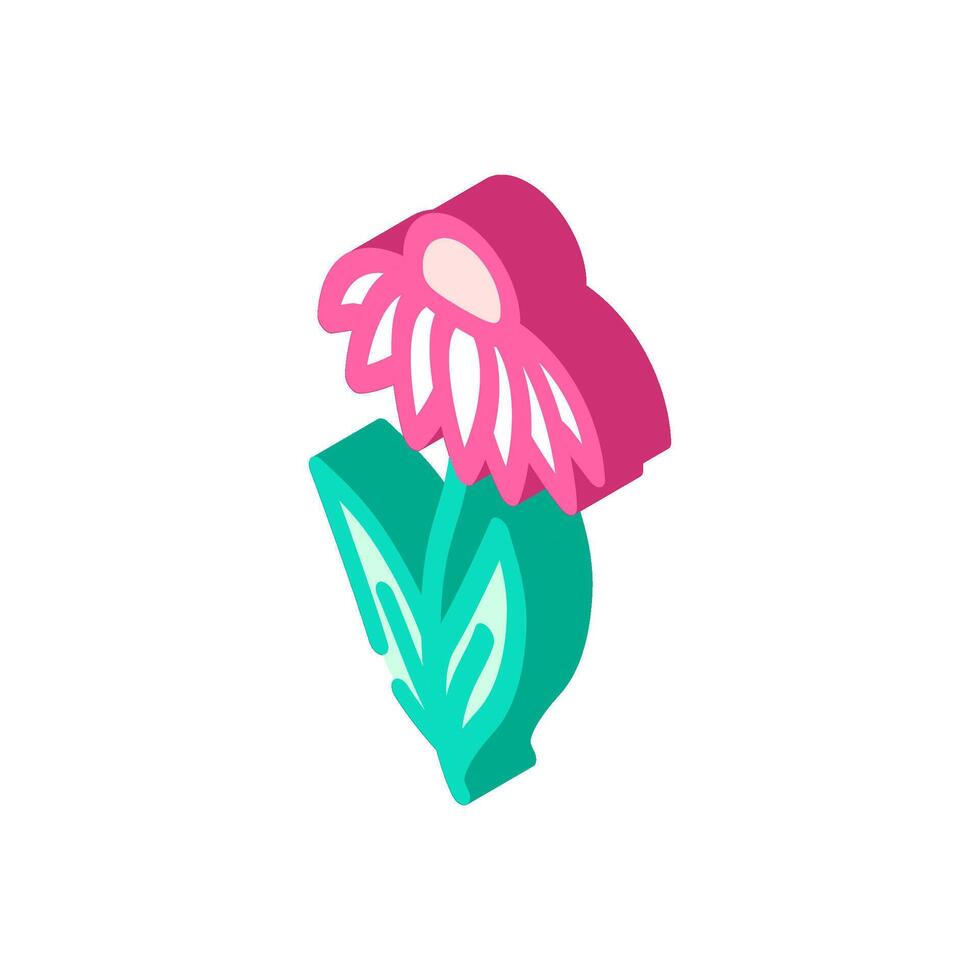 echinacea ayurvedic herb isometric icon illustration vector
