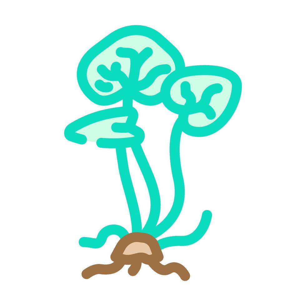 gotu kola ayurvedic herb color icon illustration vector