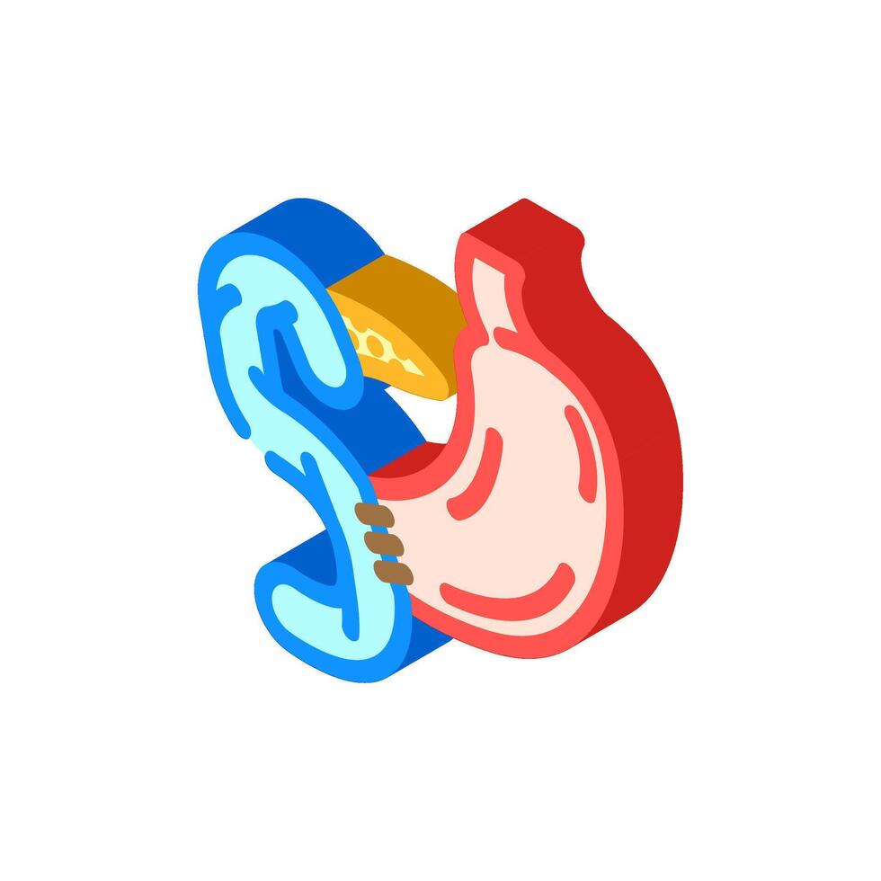 whipple procedure surgery isometric icon illustration vector