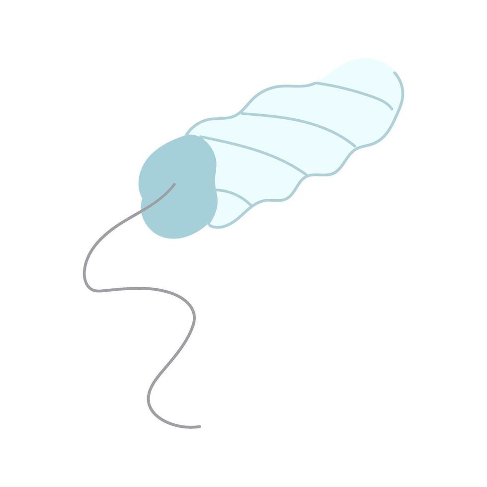 hygiene tampon cartoon illustration vector
