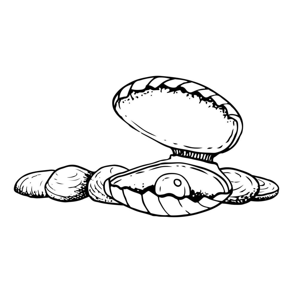 Pearl in sea shell mussel on seabed with rocks black and white illustration. Hand drawn line sketch of freshwater animal. Monochrome drawing for underwater and marine designs vector
