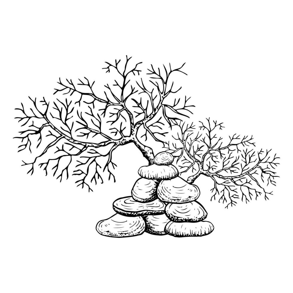 Coral branch and pile of stones black and white ink illustration. Tropical sea reef animal in simple line black and white style. Underwater seabed marine prints vector
