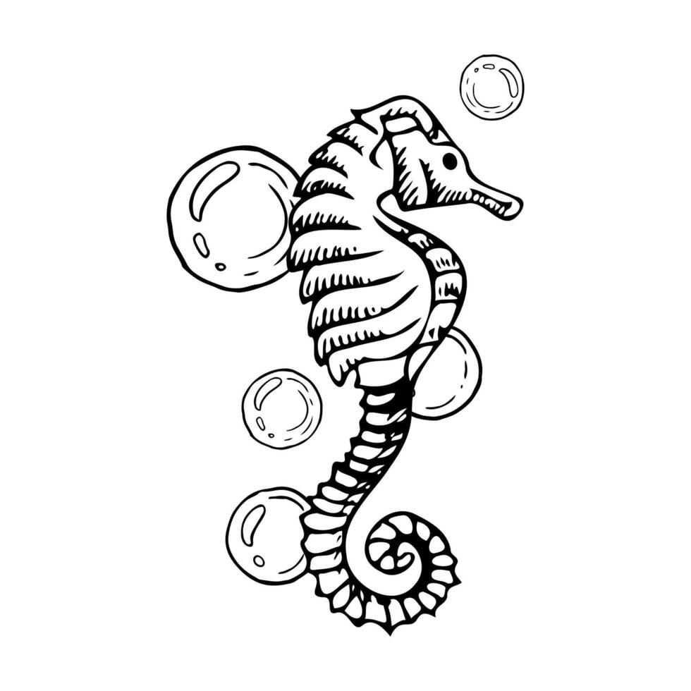 Seahorse with air bubbles black and white illustration. Hand drawn tropical underwater animal from oceans and seas. Hippocampus fish monochrome ink sketch for marine nautical prints vector