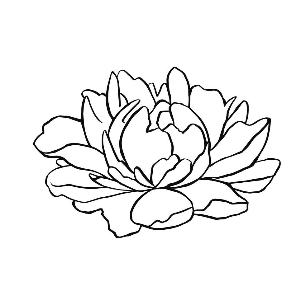 Floristry Peony flower tattoo outline monochrome vector