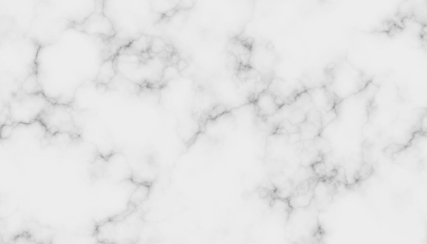 high-resolution white Carrara marble stone texture. vector
