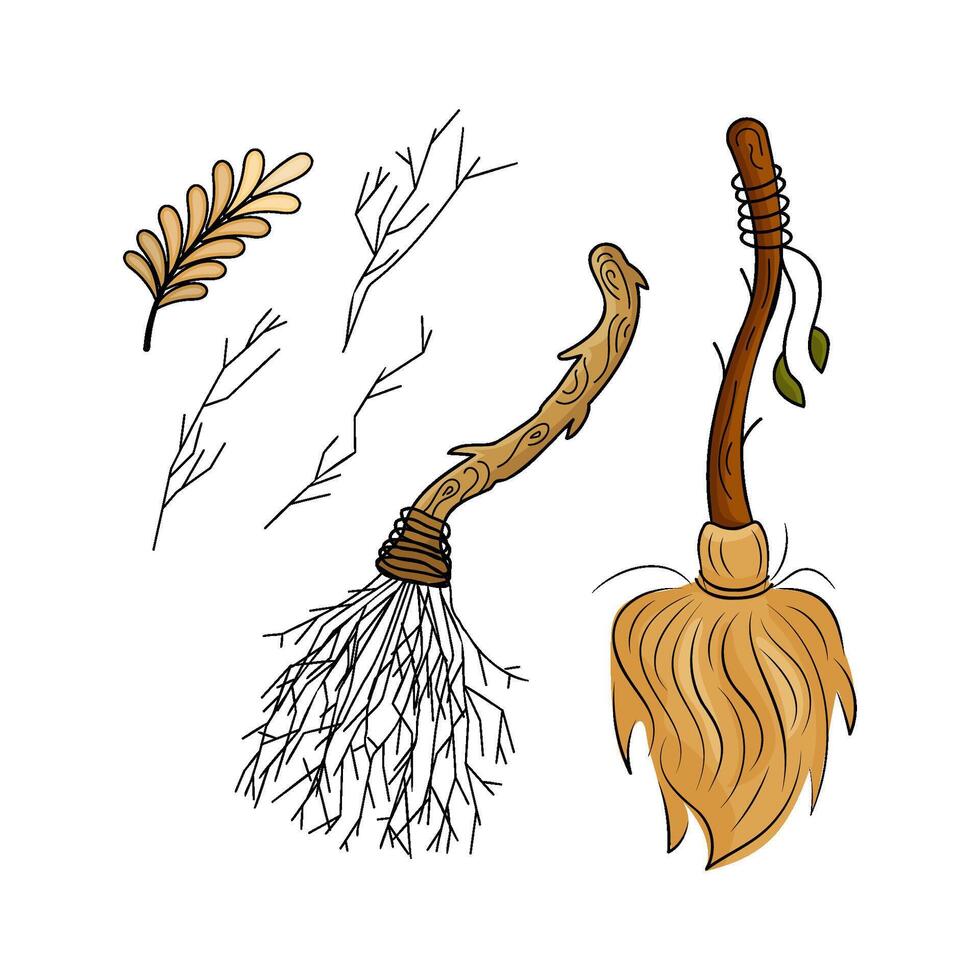Magical brooms intertwined with captivating natural elements leaves, twigs, branch. Isolated illustration theme magic, Halloween, esoteric. vector