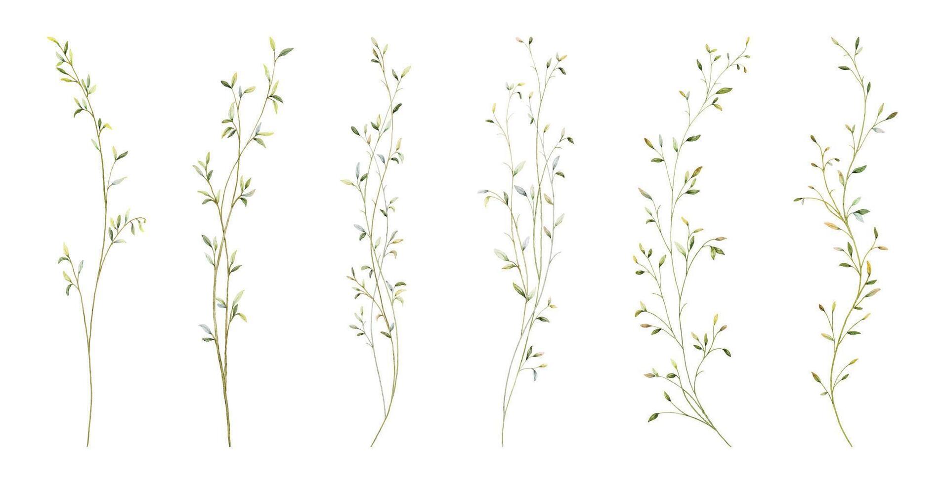 Set of watercolor small leaves elements vector