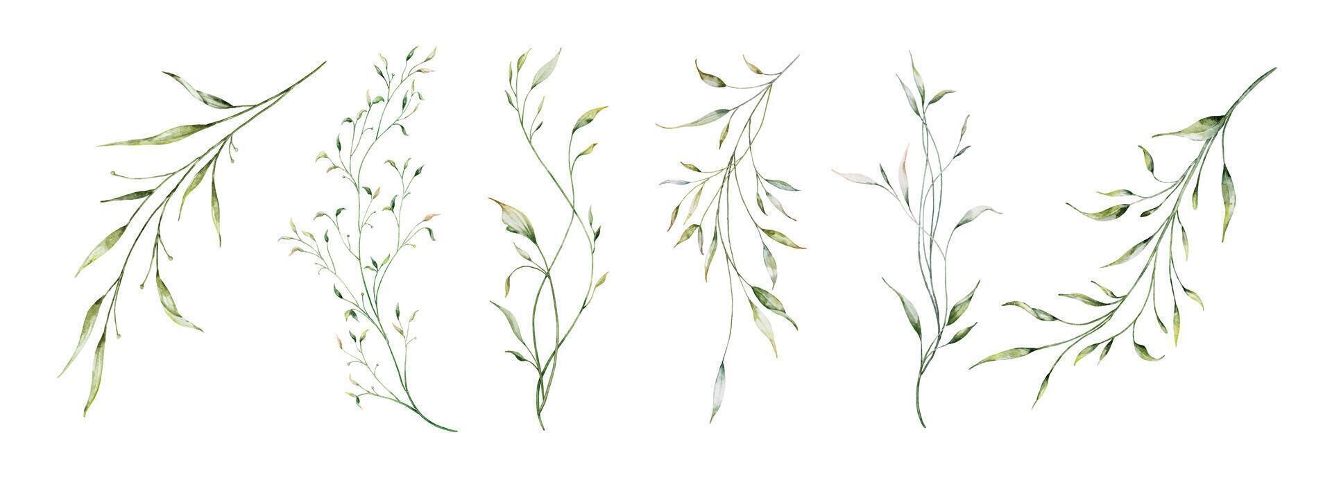 Set of watercolor green leaves elements vector