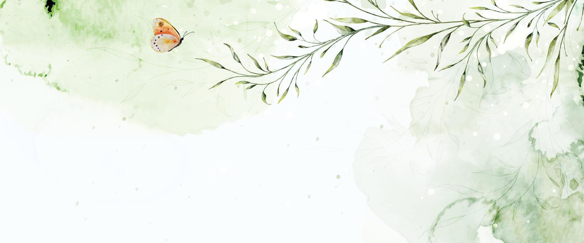 Abstract watercolor background with botanical and butterfly on watercolor stains vector