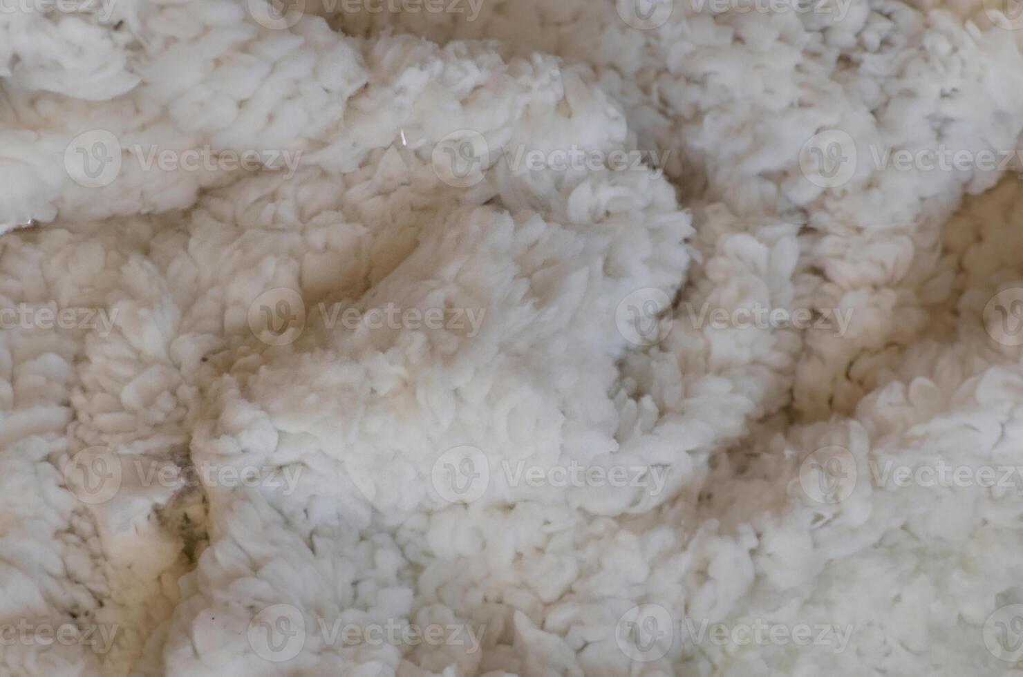 White Soft Plush Lamb Wool Fabric Background photo