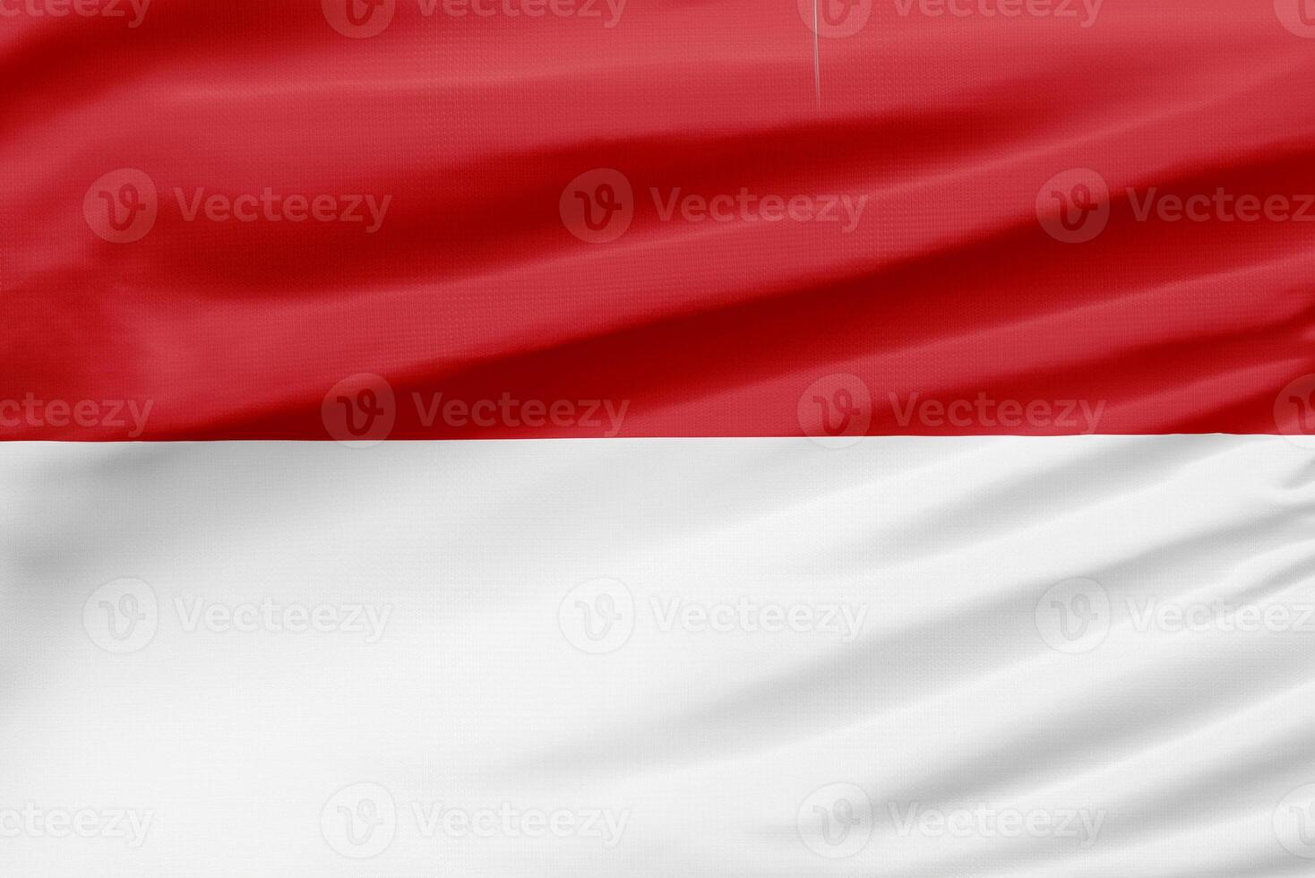 Monaco Flag on Sport Fabric with Folds photo