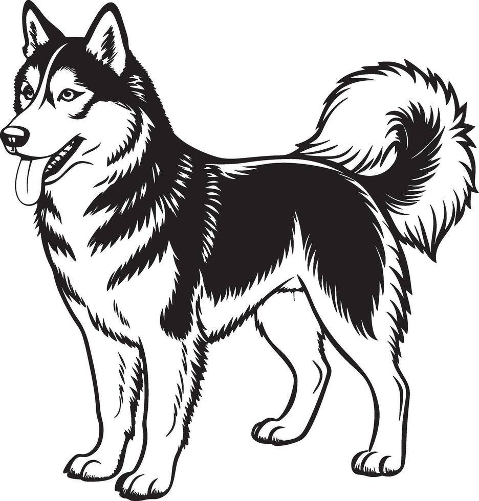 Alaskan Malamute Drawing of Black and White Illustration for Coloring Pages vector