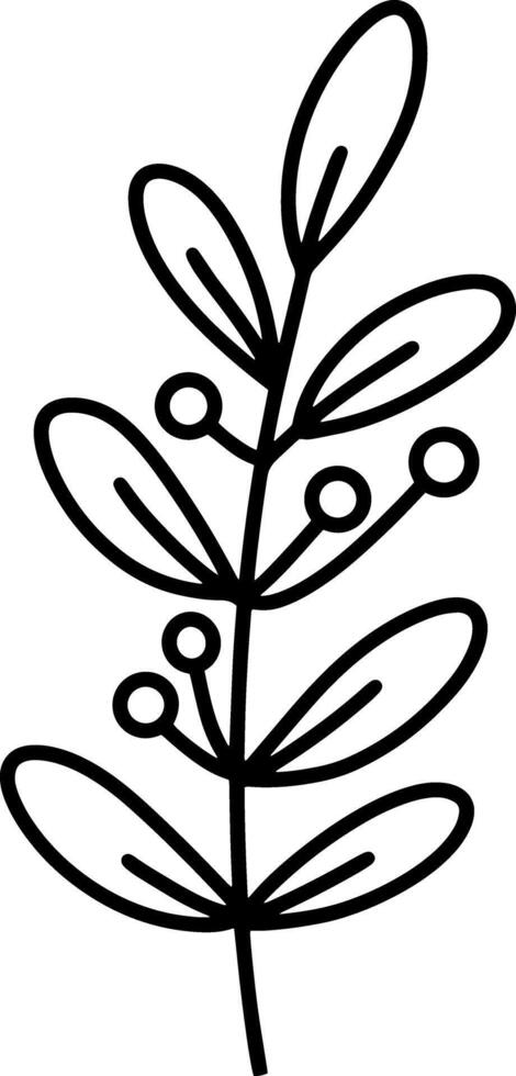 Doodle leaf icon Sketch branch clipart vector