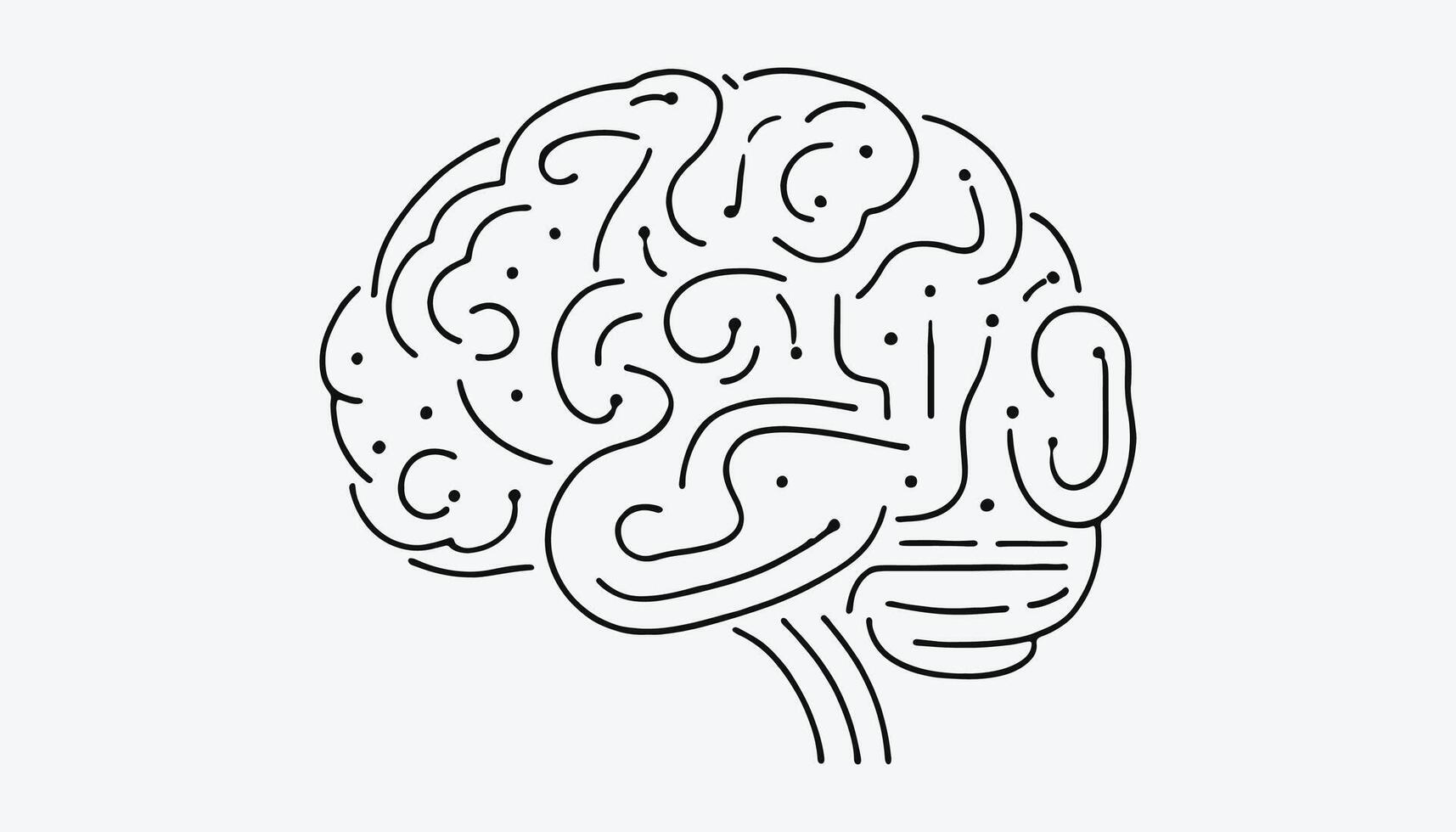 brain line art illustration vector