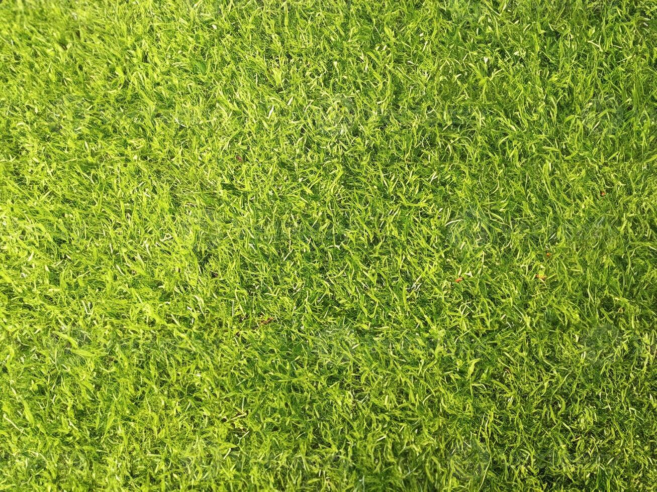 Top View, Blurred Green Artificial Turf Texture for Design photo