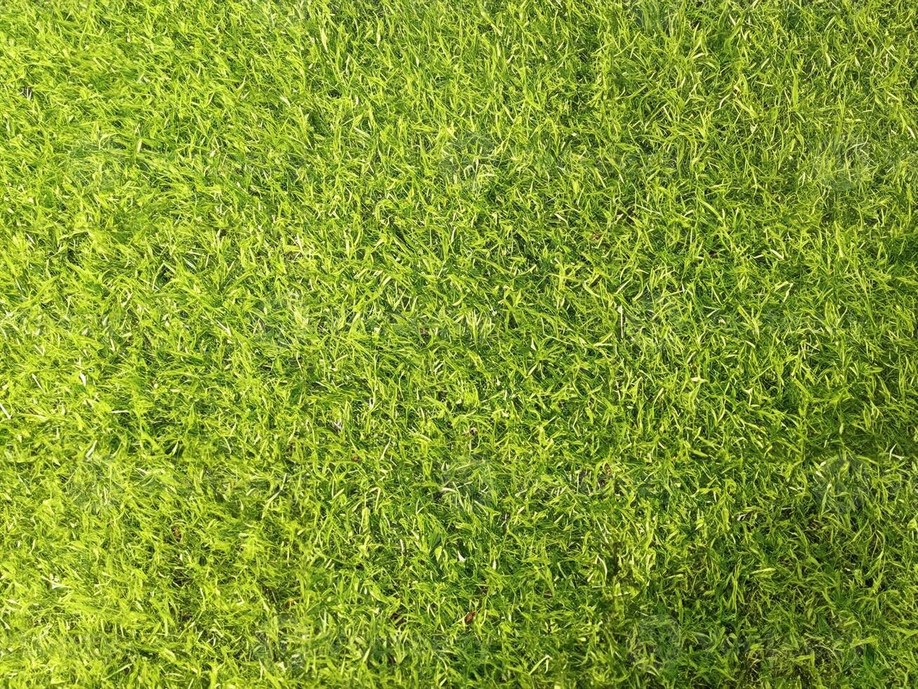 Top View, Blurred Green Artificial Turf Texture for Design photo