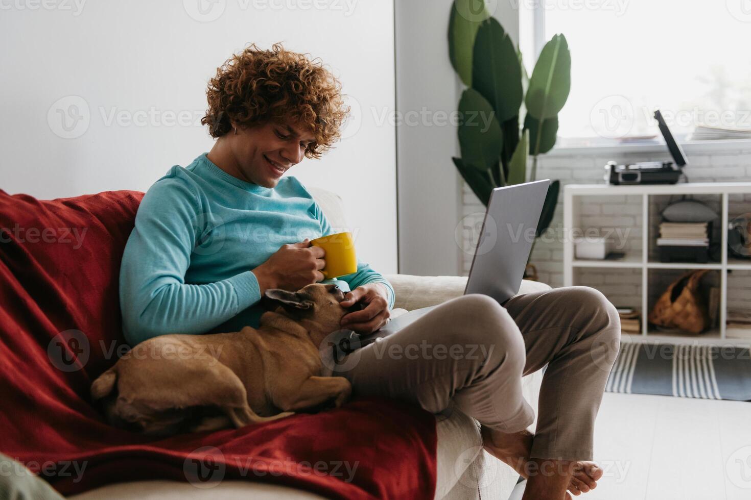 Handsome young curly man petting his dog while working on laptop from home photo