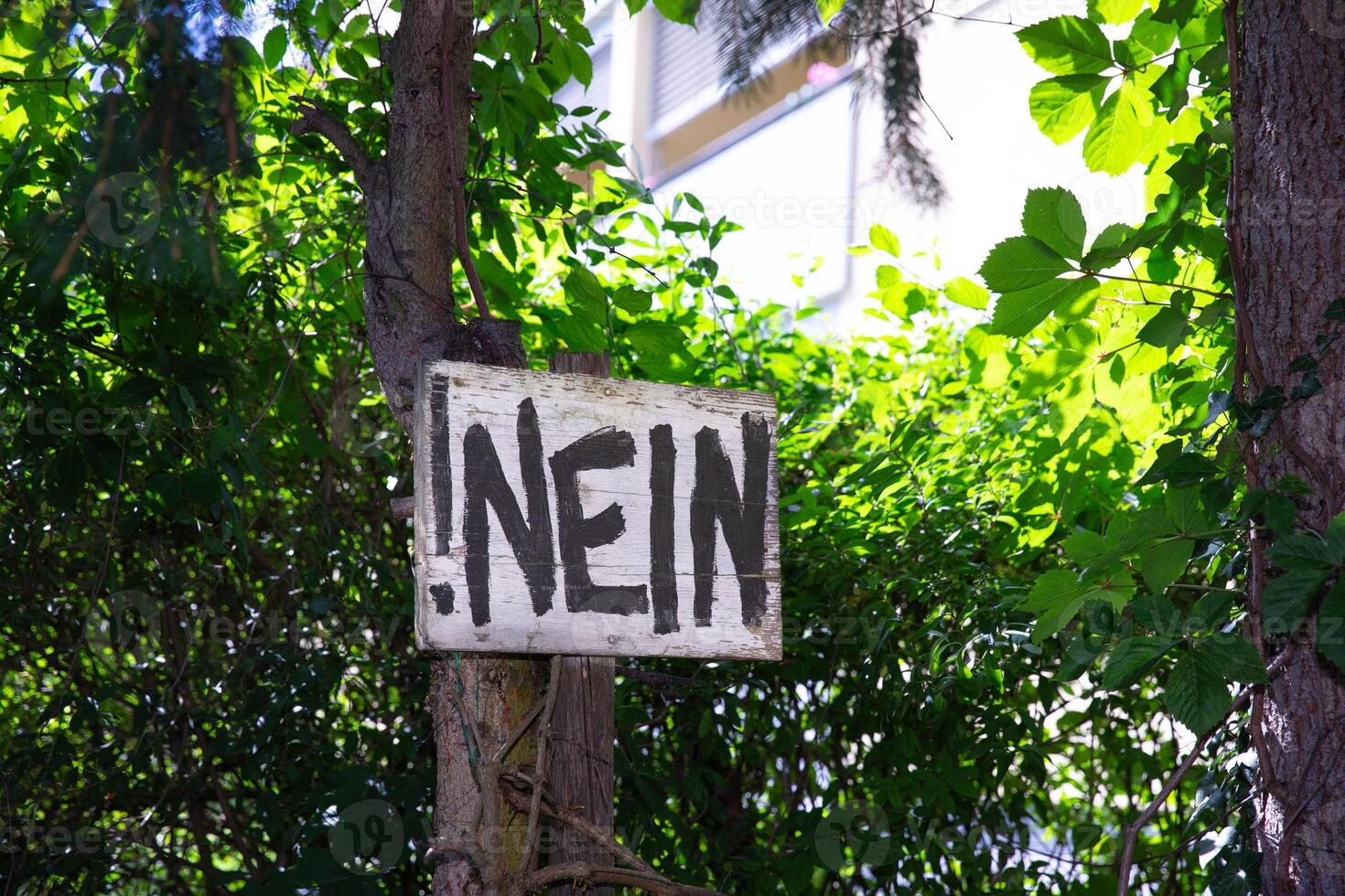 Wooden sign with bold black letters, Nein, hanging on a tree in a green forest, caution, negativity concept photo