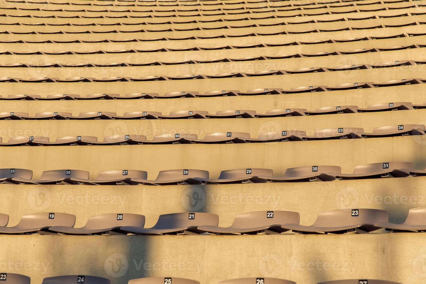 Empty stadium seats, rows of numbered chairs, sports venue, stadium seating, sunlight on chairs, stadium seats concept photo