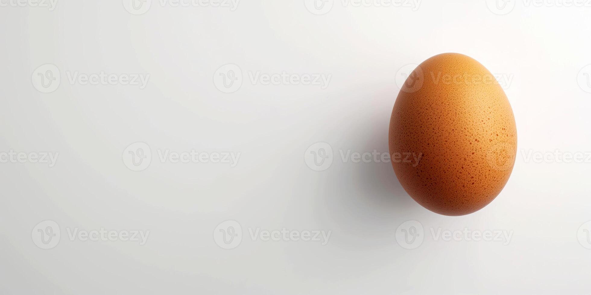 Single Brown Egg on White Background with Shadow Minimalist Photography photo