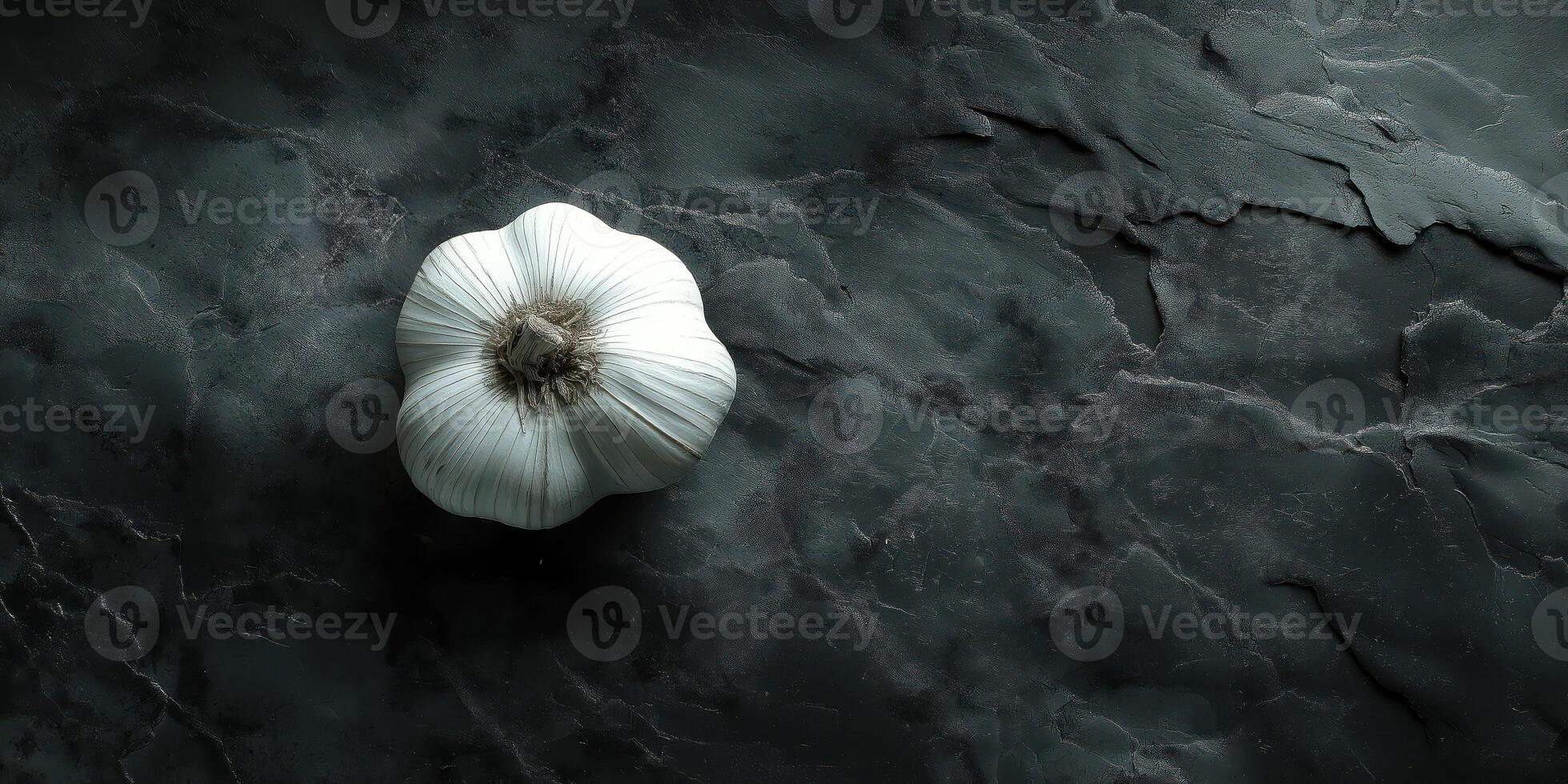 Single garlic bulb on dark slate textured surface minimalist culinary art photo