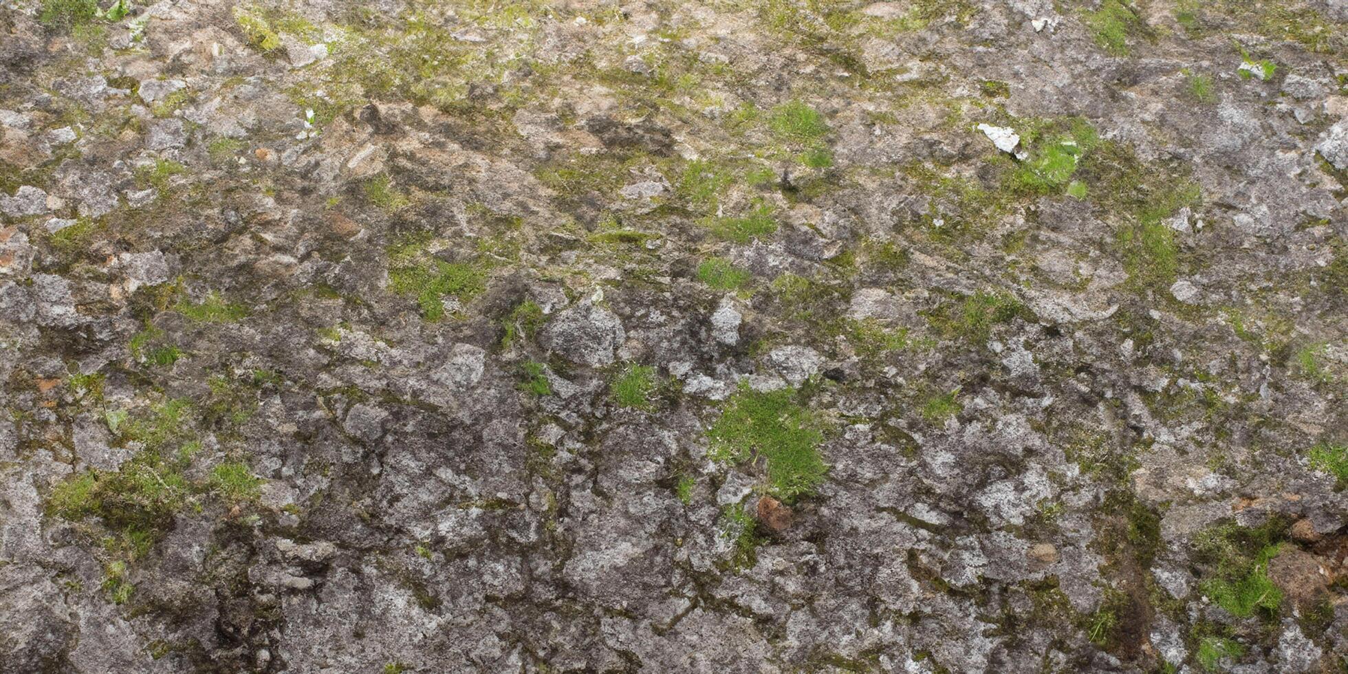 Moss-covered rocky surface with natural texture and subtle vegetation growth photo