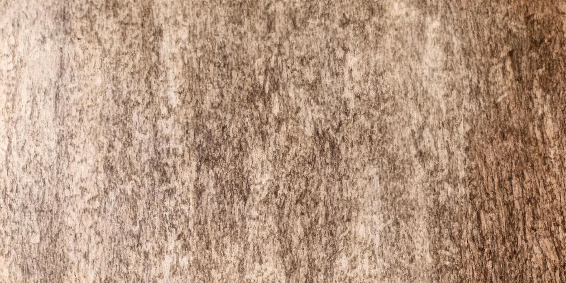 Rustic wood texture background for design and decor projects photo