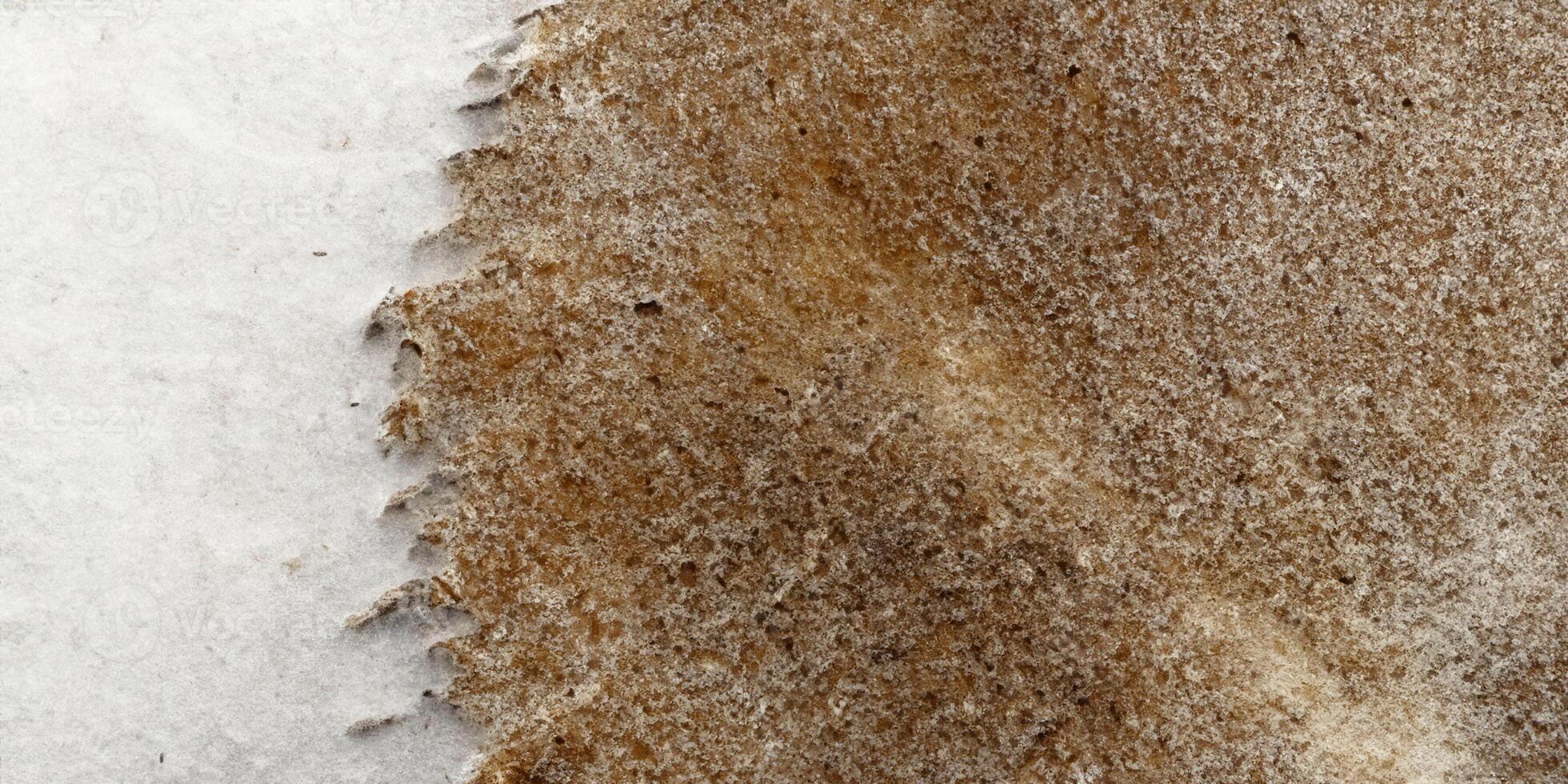 Close-up of brown rugged texture on frosted surface highlighting natural patterns photo
