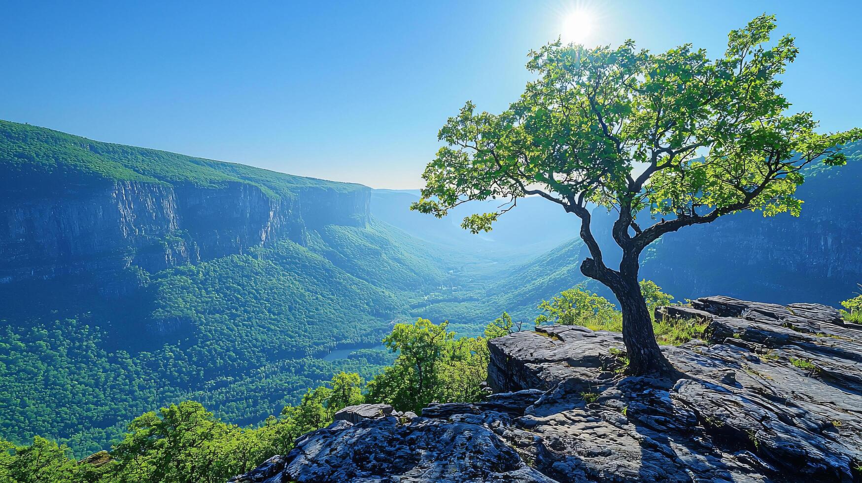 Nature Background, High-Resolution Wallpaper for a Serene and Stunning View photo