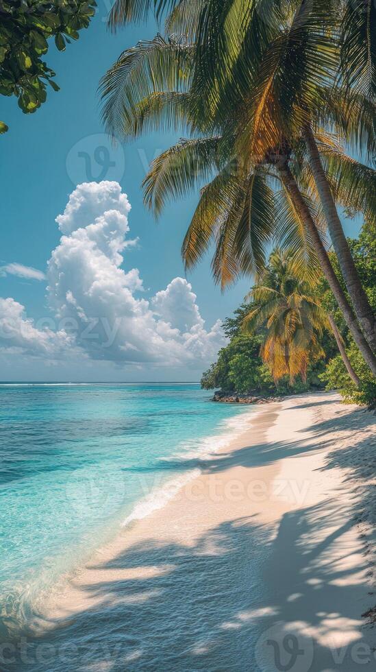 Turquoise water gently lapping on tropical beach shore with palm trees photo