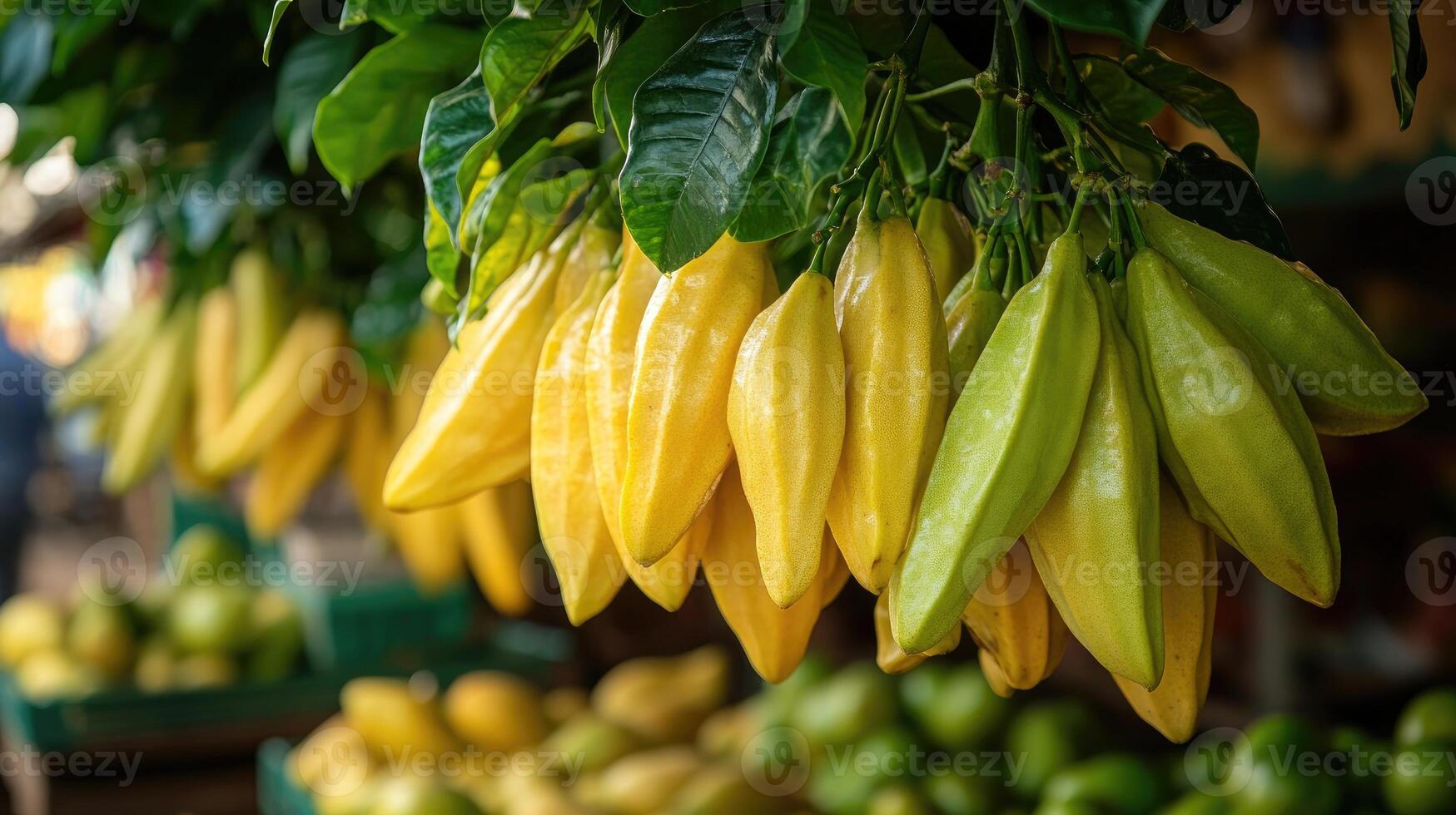 Freshly harvested cocoa pods drying in wicker basket photo