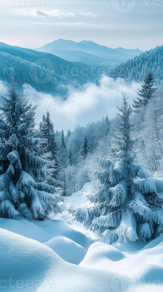 Fog rolling through snowy mountains covered in pine trees photo