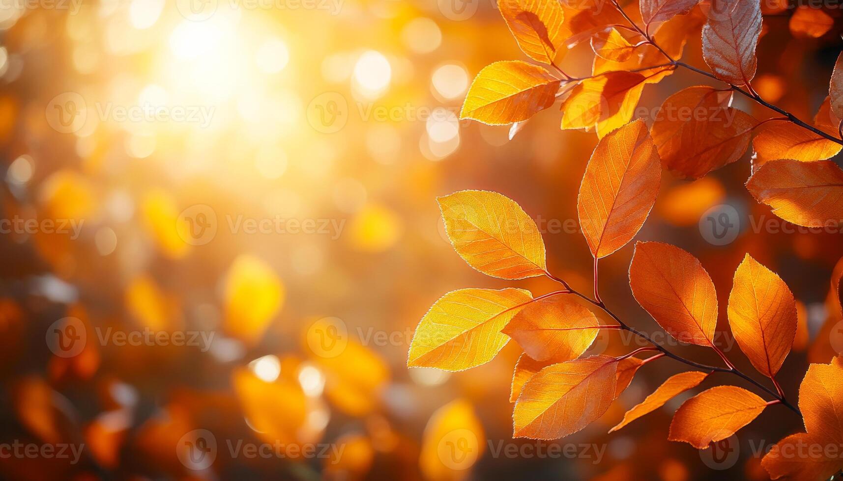 A leafy tree with bright orange leaves in the sun. The leaves are scattered all over the tree, creating a beautiful and serene atmosphere photo
