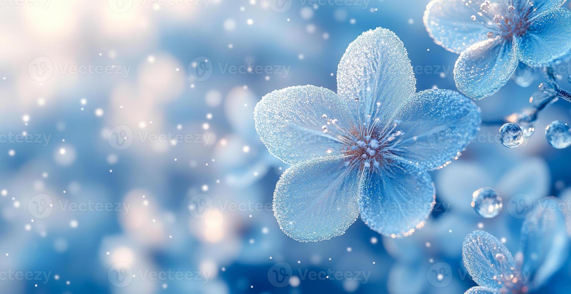 A blue flower with snowflakes on it. The snowflakes are falling on the flower, giving it a wintery feel photo