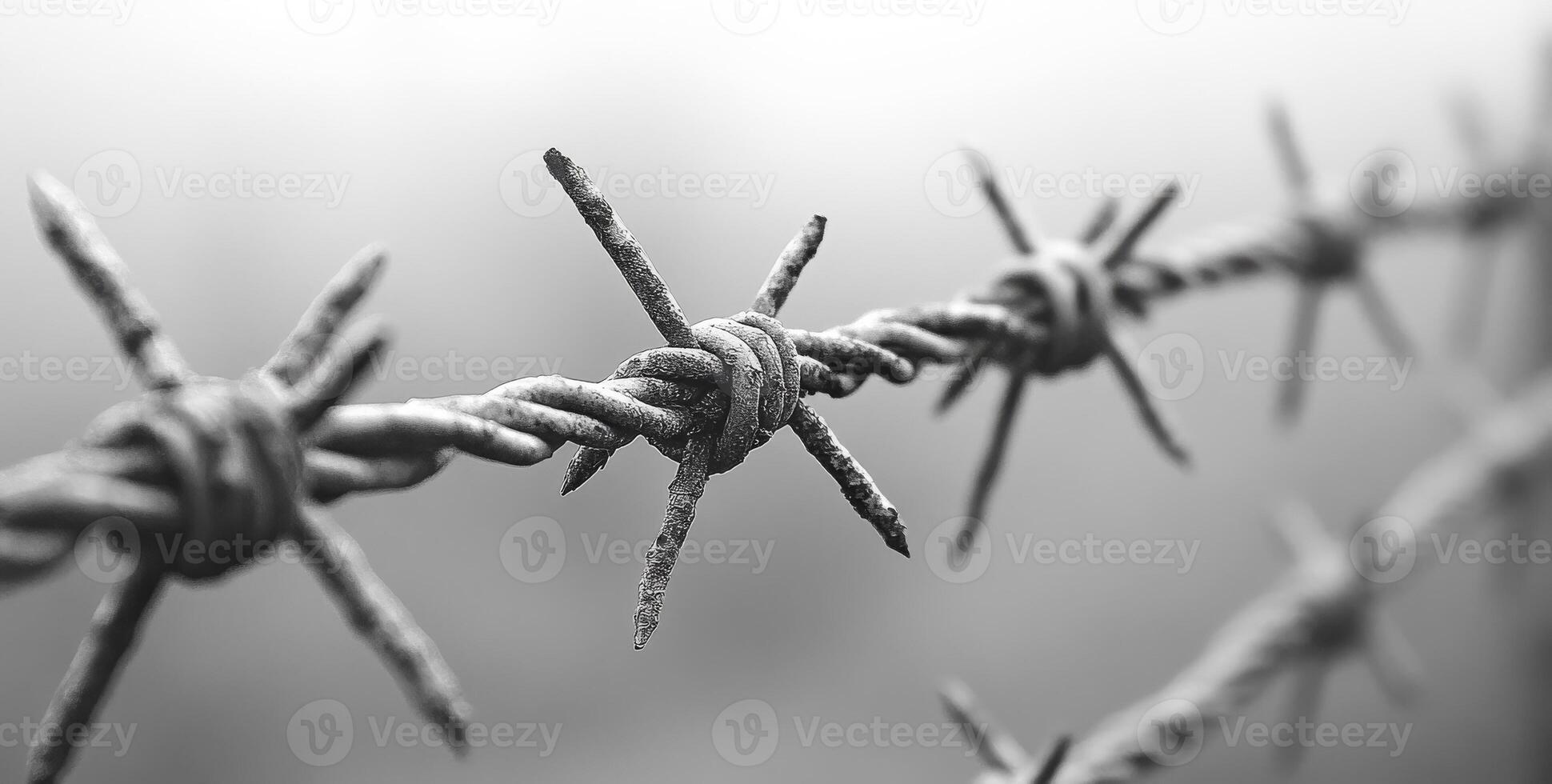 A wire fence with barbed wire on it. The image has a mood of danger and caution photo