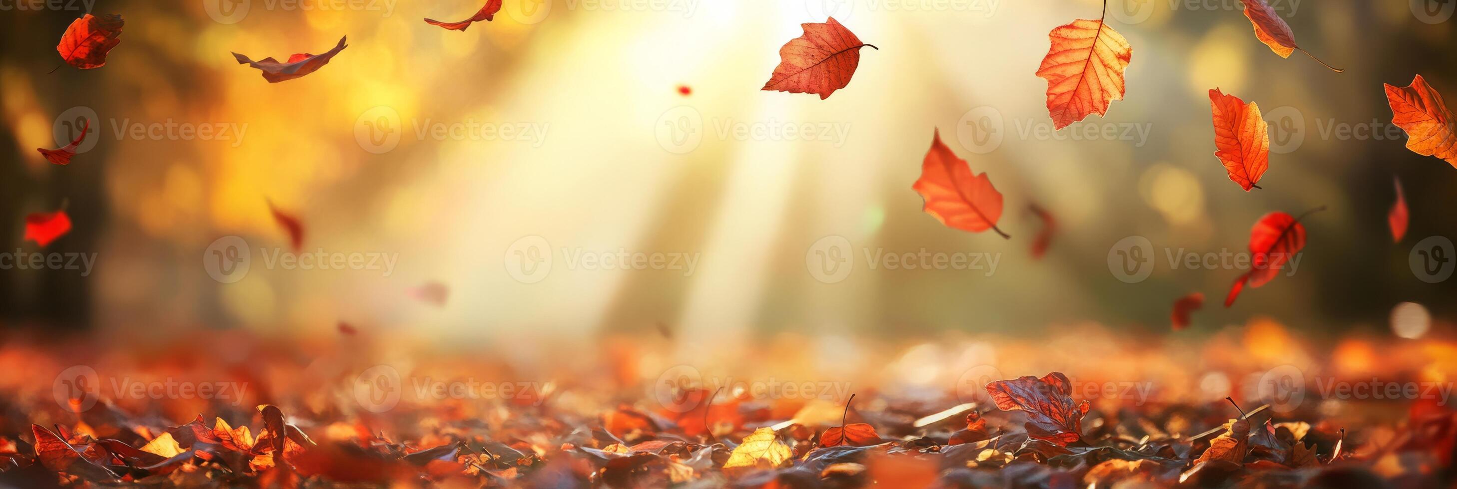 A breathtakingly stunning view of the autumn leaves gracefully falling in a sunlit park, beautifully showcasing the vibrant oranges and deep reds against a serene and tranquil natural backdrop photo