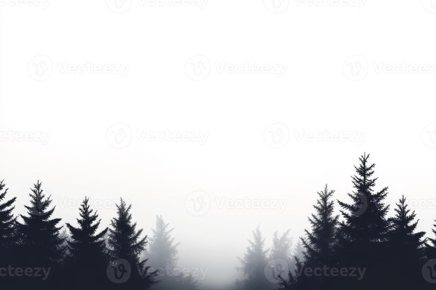 Tall pine trees majestically rise from a misty atmosphere, creating a serene, calm landscape that is filled with natural beauty and offers a profound sense of tranquility and peace photo