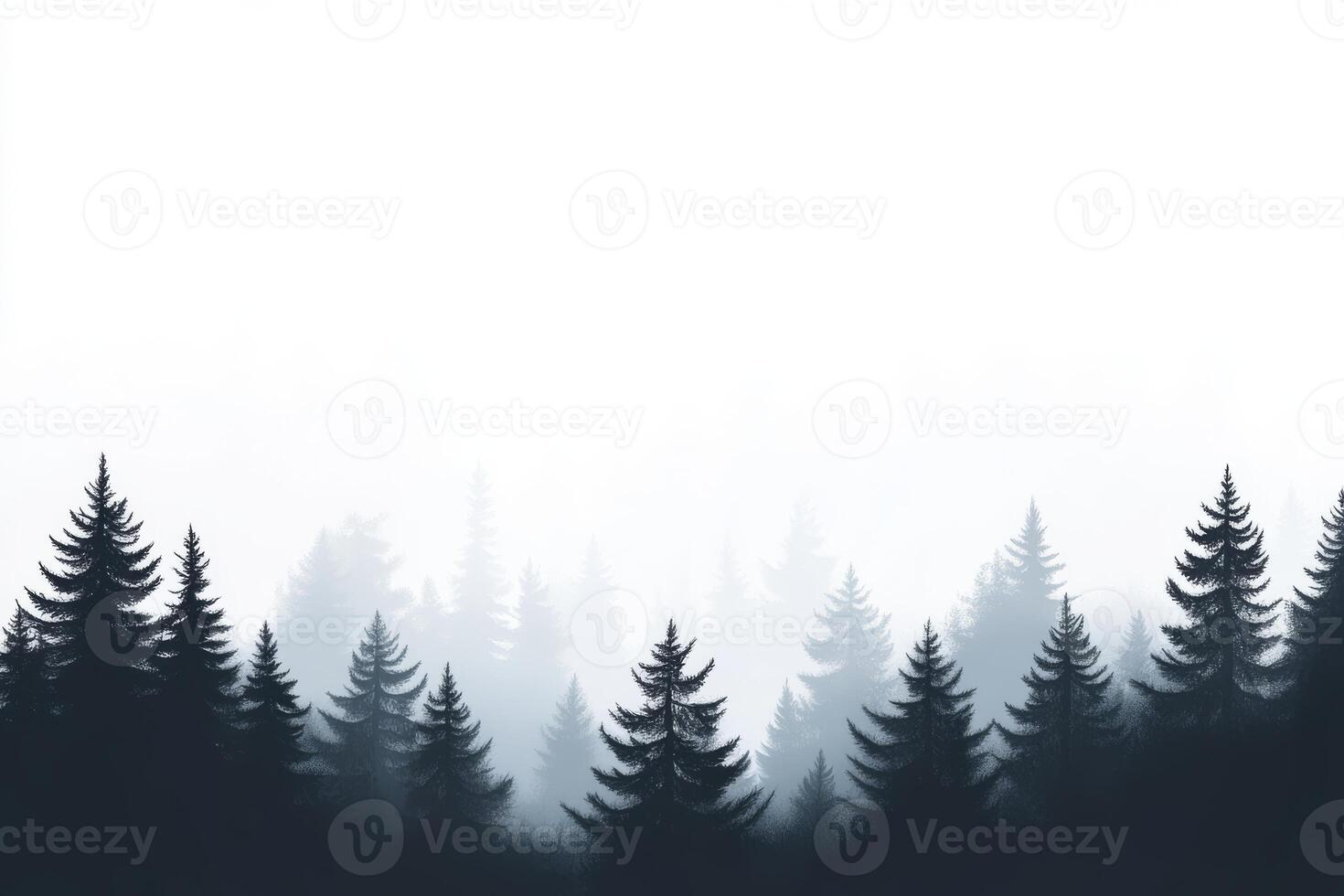 In this serene landscape, towering pine trees rise from thick fog, evoking deep emotions tied to the wild, inviting reflection and fostering inner peace for all who gaze upon the scenery photo